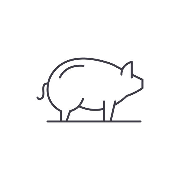 ilustraciones, imágenes clip art, dibujos animados e iconos de stock de concepto de icono cerdo. ilustración linear de cerdo vector, símbolo, signo - piggy bank currency business coin