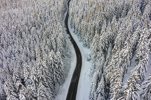 drone aerial birdseye shot of winter country road through forest with snow covered trees glaze ice series