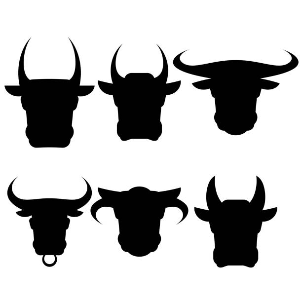 牛と牛のセット頭白い背景で隔離のシルエット - texas longhorn cattle horned bull long点のイラスト素材／クリップアート素材／マンガ素材／アイコン素材