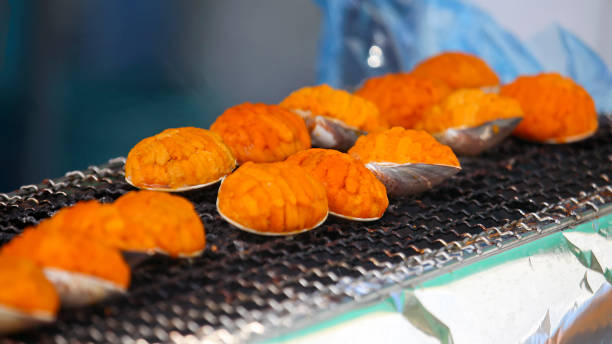 "Gaze Yaki" - Sea urchins grilled in shell, a specialty food of North Ibaraki "Gaze Yaki" - Sea urchins grilled in shell, a specialty food of North Ibaraki ibaraki prefecture stock pictures, royalty-free photos & images