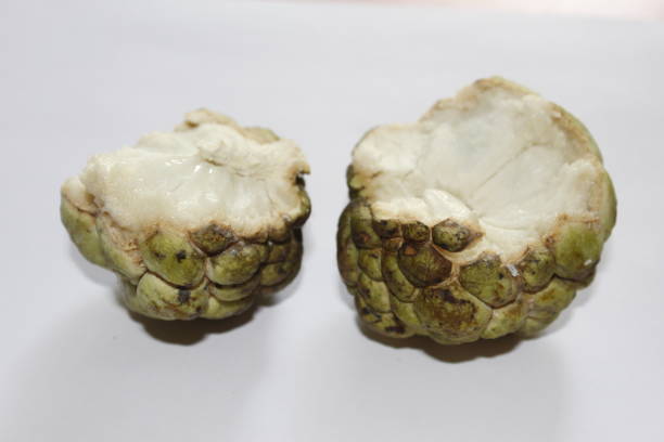 Sugar apple or custard apple with slice isolated on white background. exotic tropical sweetsop, ata, aati, mati anoda, awzar thee, Srikaya, atis, custard apple, Annona reticulata fruit, healthy food Sugar apple or custard apple with slice isolated on white background. exotic tropical sweetsop, ata, aati, mati anoda, awzar thee, Srikaya, atis, custard apple, Annona reticulata fruit, healthy food annona reticulata stock pictures, royalty-free photos & images