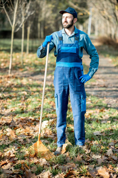 istock Sweeper cleaning the garden 1075494570