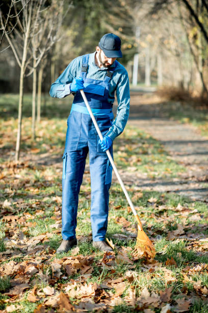 istock Sweeper cleaning the garden 1075495320