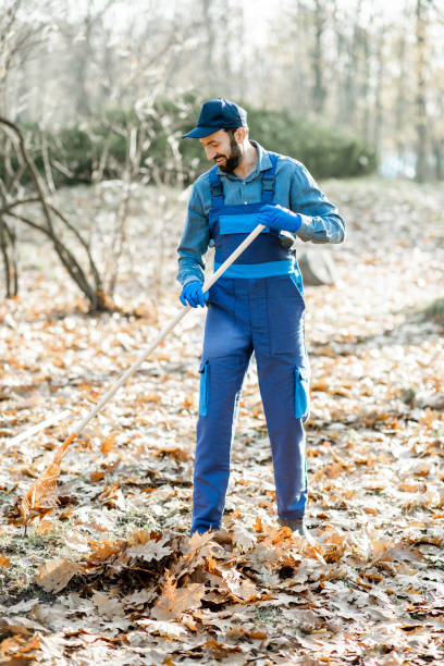 istock Sweeper cleaning the garden 1075495598