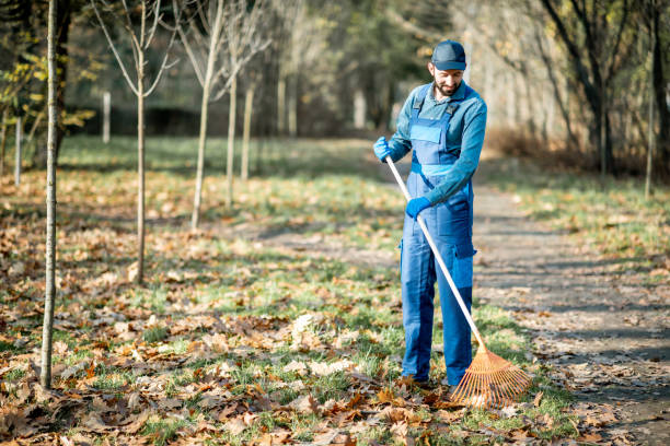 istock Sweeper cleaning the garden 1075495600