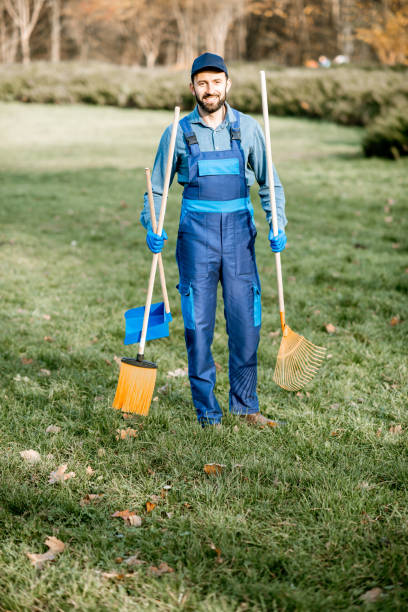 istock Professional sweeper with cleaning tools outdoors 1075496946
