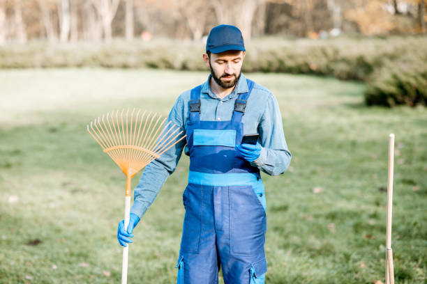 istock Sweeper with phone in the garden 1075497252