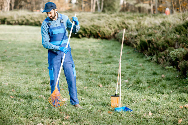 istock Professional sweeper with cleaning tools outdoors 1075497286