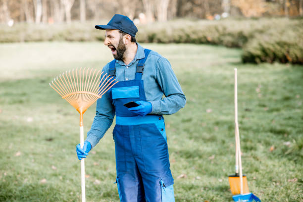 istock Funny portrait of a male sweeper 1075497288