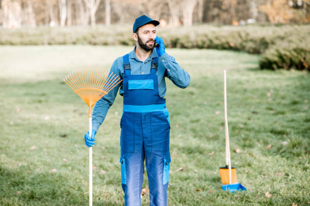 istock Sweeper with phone in the garden 1075497304
