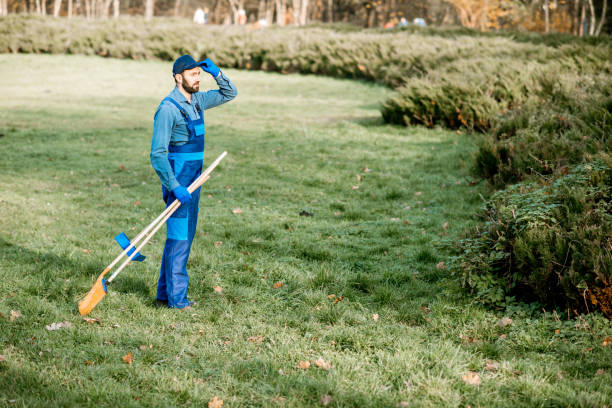 istock Gardener with cleaning tools in the garden 1075497660