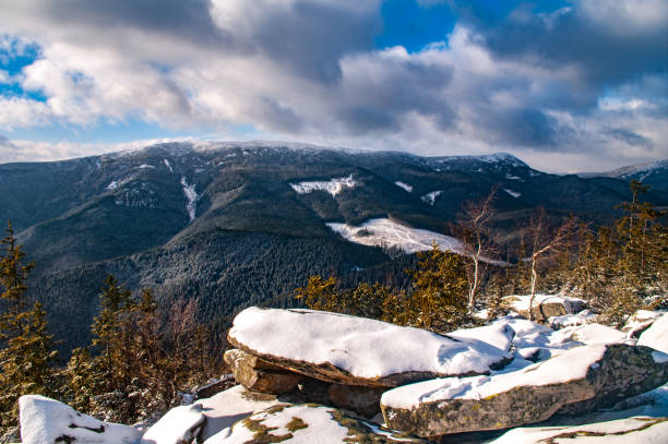istock Morning in the winter 1075498178