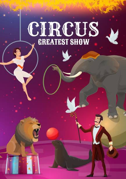 ilustraciones, imágenes clip art, dibujos animados e iconos de stock de carpa circo, acróbata y mago, animal - traditional festival juggling women performer