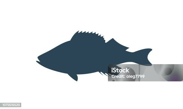 Ocean Perch Silhouette Isolated Ocean Perch On White Background Stock Illustration - Download Image Now