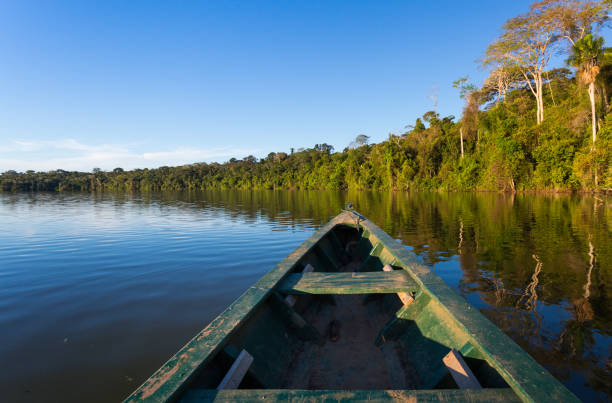 アマゾンの熱帯雨林の川でカヌー。 - イキトス ストックフォトと画像
