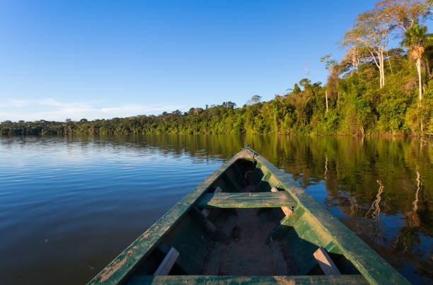 каноэ в реке тропических лесов амазонки. - iquitos стоковые фото и изображения