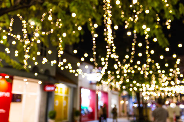 istock Blurred image Decorative outdoor string lights hanging on tree in the garden 1075518712