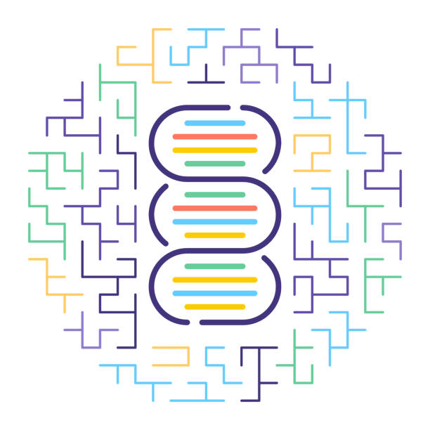 DNA Paternity Test Line Icon Illustration Line vector icon illustration of DNA paternity test with maze like background. paternity stock illustrations