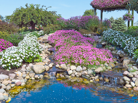 water pool in ornamental rock garden with waterfalls and pink petunias and white impatiens