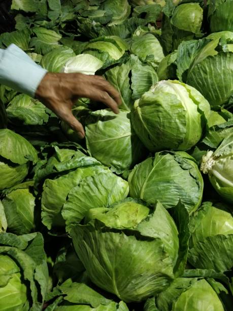istock Cauliflower and cabbage from a market 1075543060