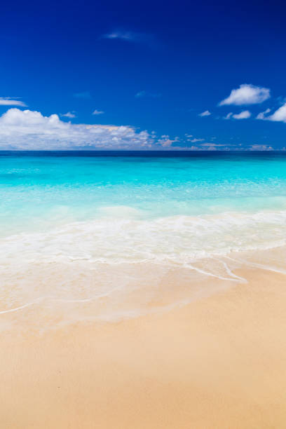 istock Amazing tropical beach of Seychelles 1075547516