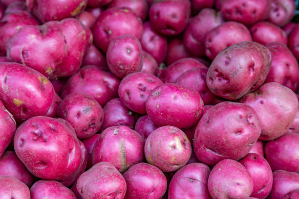rote kartoffeln auf einem marktstand - red potato raw potato red vegetable stock-fotos und bilder