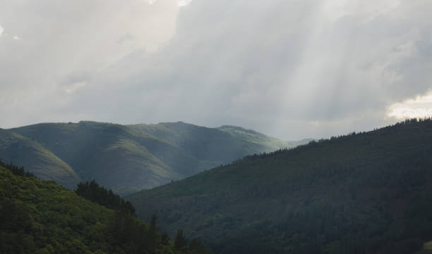 istock Mountain landscape with trees at sunrise. 1075551154
