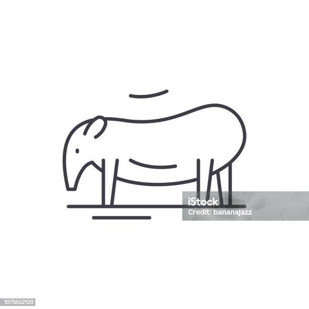 Tapir Line Icon Concept Tapir Vector Linear Illustration Symbol Sign Stock Illustration - Download Image Now