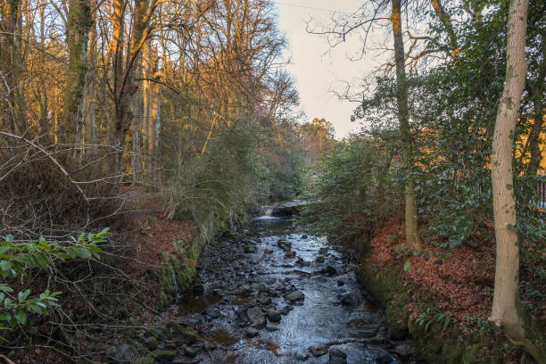 istock Riverbanks and Autumn Trees in Scotland 1075552858