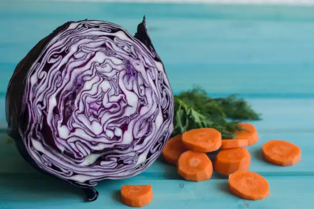 Photo of A photo of the purple cut cabbage and pieces of carrot and dill on a bright blue background.