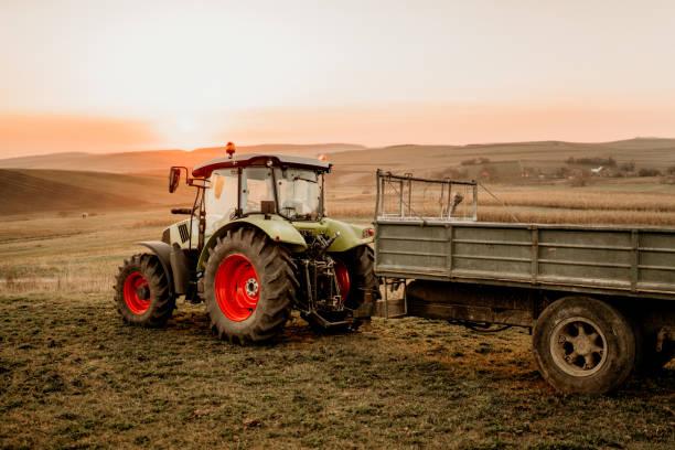 istock Harvesting details with tractor and trailer transporting harvest at sunset 1075559196