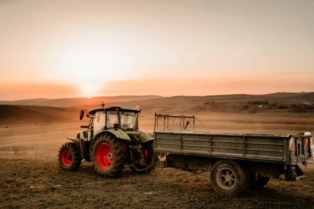 istock Harvesting details with tractor and trailer transporting harvest at sunset 1075559606