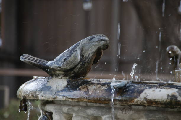 istock Little ceramic bird on the vintage fountain 1075560178