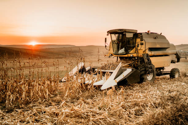 istock Combine harvester at sunset finishing a days work during sunset 1075560478