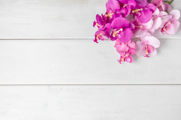 Artificial orchids on white wooden background. Top view. Copy space.