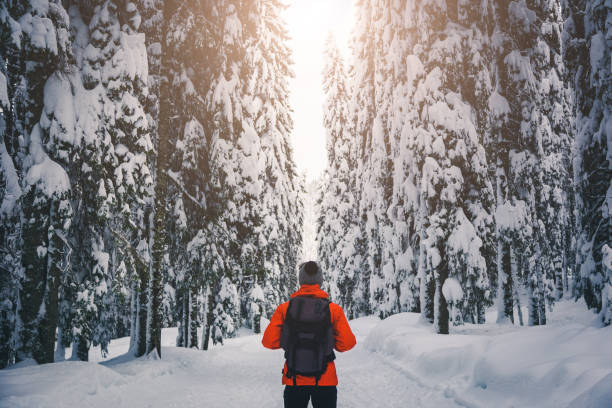spacer po zimowym lesie - walking loneliness one person journey zdjęcia i obrazy z banku zdjęć