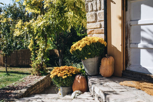 istock Potted plants on a stone staircase to the front door 1075577802