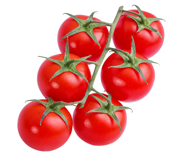 istock Tomato branch isolated on white background with clipping path 1075585378