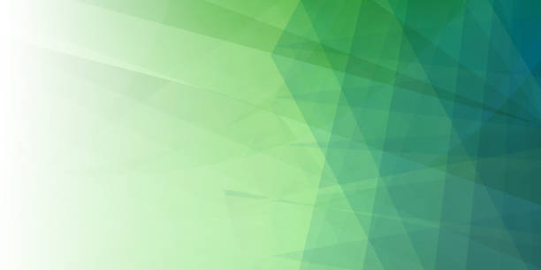 feder grün minimal fold linie hintergrund - green backgrounds internet banner stock-grafiken, -clipart, -cartoons und -symbole