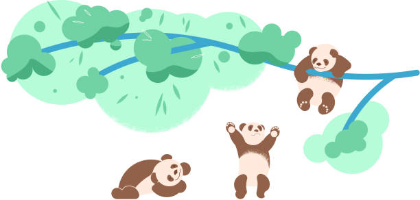 Funny Panda Plays With Bamboo Illustrations, Royalty-Free Vector Graphics &  Clip Art - iStock
