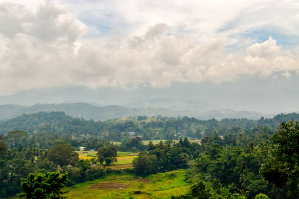 istock Landscape paintings of Sri Lanka 1075592314