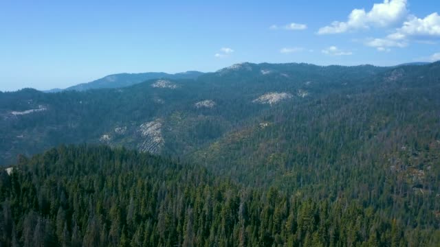 Aerial view of the Sequoia National park forest from above