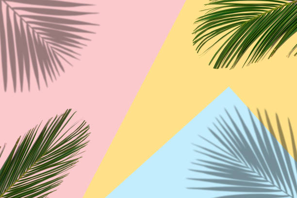 istock Tropical bright colorful background with exotic tropical palm le 1075592840