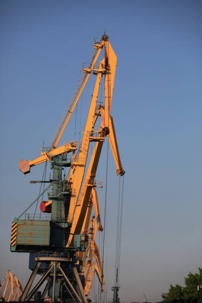 istock Cranes are in a row in the sea port 1075593152
