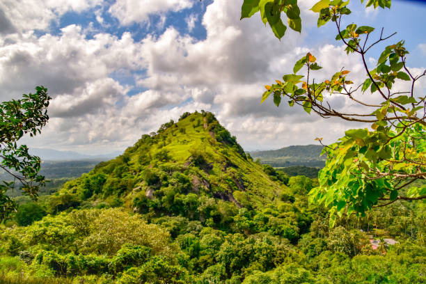 istock Landscape paintings of Sri Lanka 1075594712