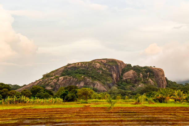 istock Landscape paintings of Sri Lanka 1075596554