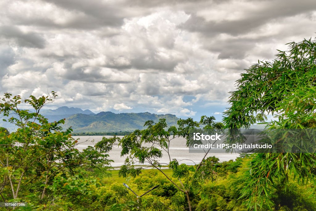 Landschaftsbilder von Sri Lanka - Photo de Arbre libre de droits