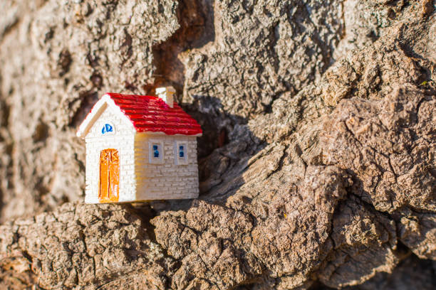 istock toy house on the tree. Concept 1075608424
