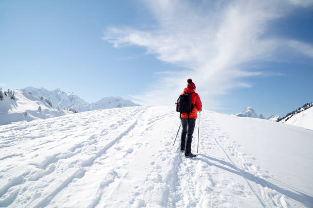 самка туриста в заснеженной горе - nordic walking hiking mountain walking стоковые фото и изображения