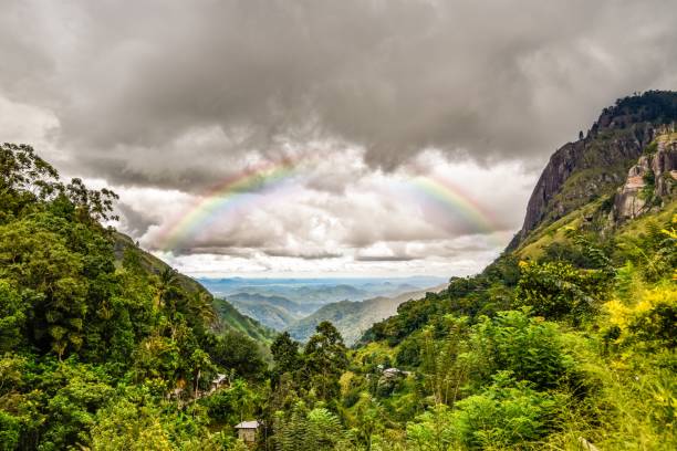 istock Landscape paintings of Sri Lanka 1075611024